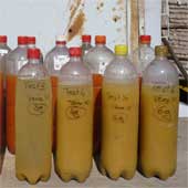 d&eacute;cantation des vernis